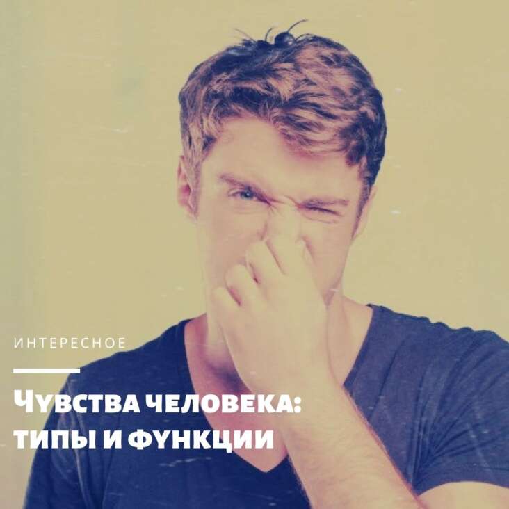 Прочтите об основных и дополнительных типах человеческих чувств